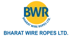 bwr-1-01-1-rck9kvfs9yrit5iqepgtdx8hnwed4vgkxxzhdrf1im (1)